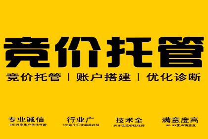 SEM广告案例：优化策略助力品牌知名度提升